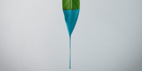 Decovery_Our_Partners_Header