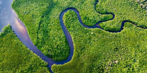 Leading the Circular Economy Transition: A Business Guide