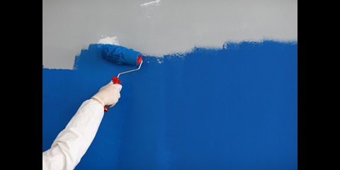 Close-up of adult painting wall with bright blue paint. Hand using roller for renovation work